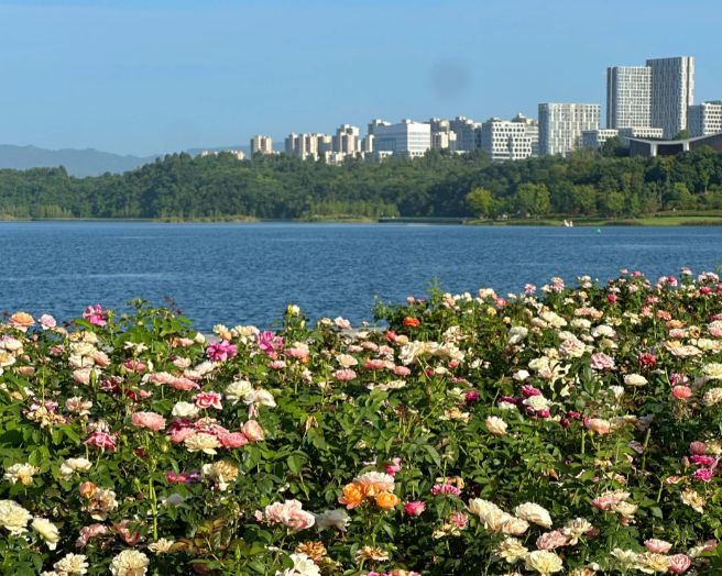 四川旅游价格攻略四川旅游团报价六日游四川旅游6天线路地图(图2)